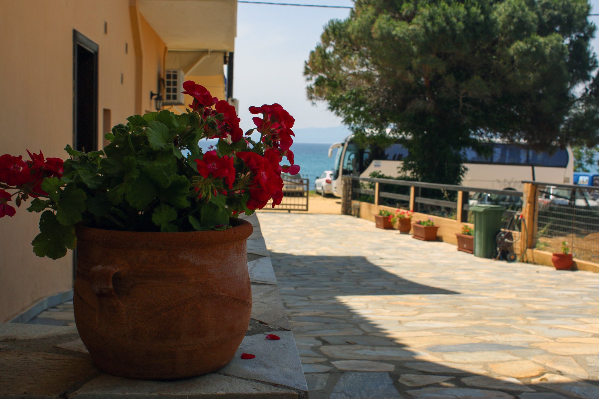 Studio Liotrivi